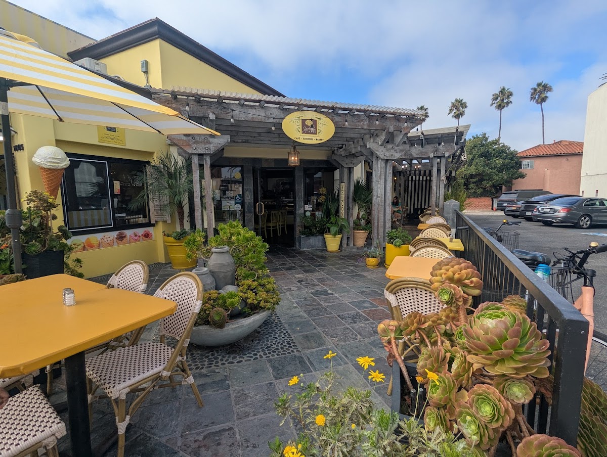 Yellow Vase Photos 2